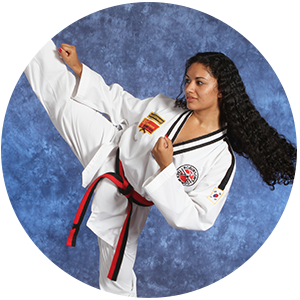 Martial Arts Robinson's Taekwondo of Iowa Adult Programs